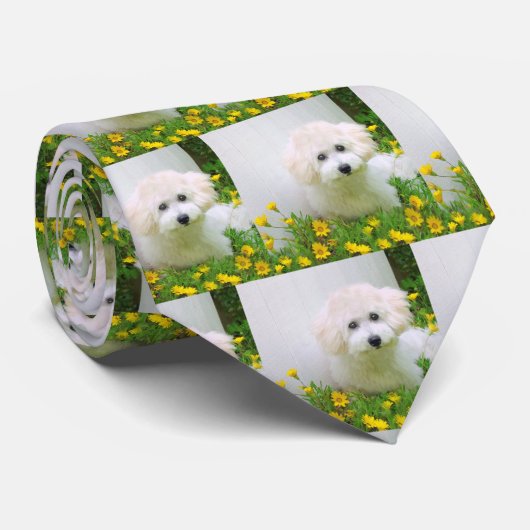 あなた自身の写真の首のタイを加えて下さい ネクタイ (ロール)