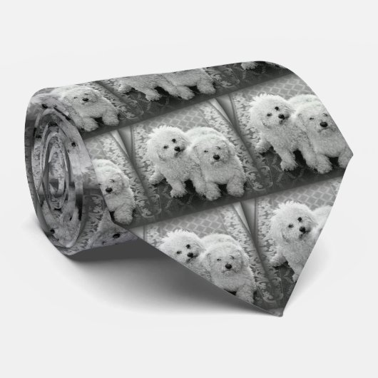 あなた自身の写真の首のタイ ネクタイ (ロール)
