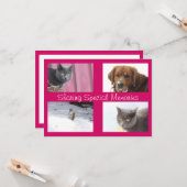 あなた自身の写真を使用 カード (正面/裏面インサイチュ)