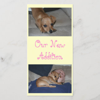 あなた自身の写真カードを作成して下さい 案内状