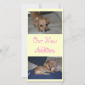 あなた自身の写真カードを作成して下さい 案内状 (正面)