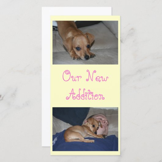 あなた自身の写真カードを作成して下さい 案内状 (正面/裏面)