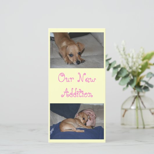 あなた自身の写真カードを作成して下さい 案内状 (スタンド正面)