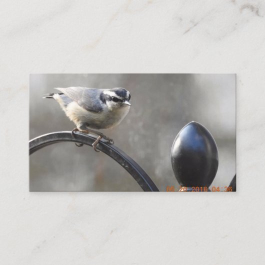 あなた自身の名刺をカスタム設計して下さい 名刺 (正面)