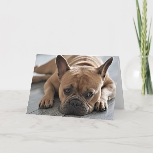 あなた自身の文字かわいいFrenchieを加えて下さい カード (正面)