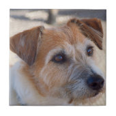 あなた自身の正方形のタイル-かわいい犬--を作成して下さい タイル (正面)