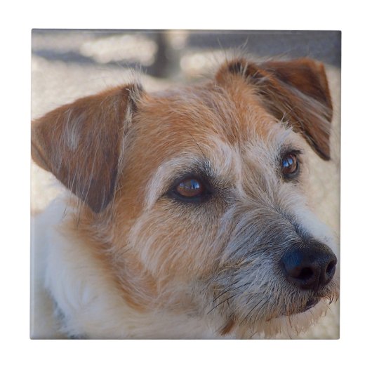 あなた自身の正方形のタイル-かわいい犬--を作成して下さい タイル (正面)
