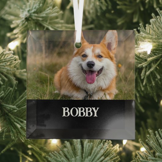 あなた自身の犬の写真と名前を追加 ガラスオーナメント (インサイチュ)