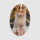 あなた自身の猫の写真を作成して下さい オーナメント (正面)