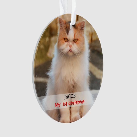 あなた自身の猫の写真を作成して下さい オーナメント (正面)