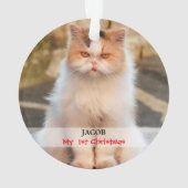 あなた自身の猫の写真を作成して下さい オーナメント (裏面)