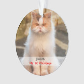 あなた自身の猫の写真を作成して下さい オーナメント (正面)
