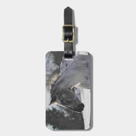 あなた自身の馬の写真旅行荷物のラベルを加えて下さい ラゲッジタグ (正面縦)