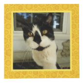 あなた自身の5正方形のInstagramの写真の蜂蜜を作成して下さい フォトキューブ (正面)