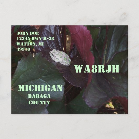 あなた自身のQSLのアマチュア無線オペレータ操作の野性生物を設計して下さい ポストカード (正面)