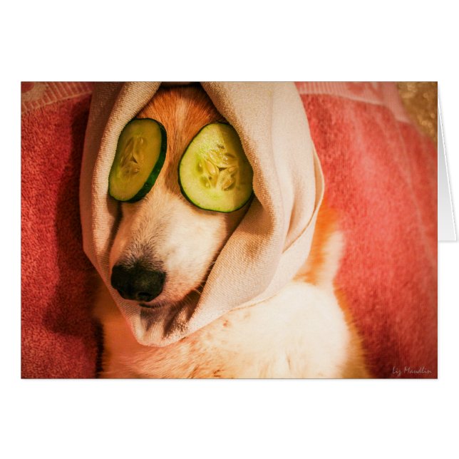 あなた自身をカード甘やかして下さい (正面横)