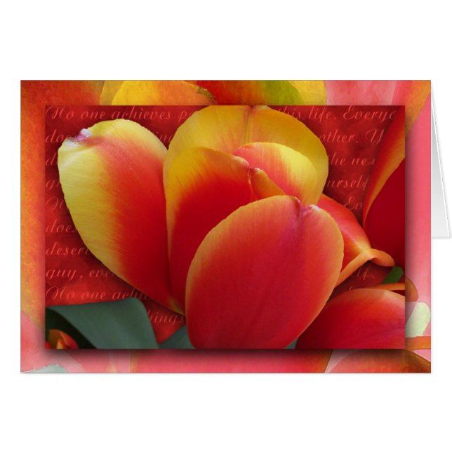 あなた自身を許して下さい (正面横)