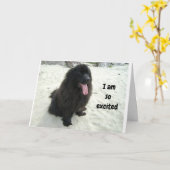 「あなた」と誕生日を分かち合うのが大好き カード (黄色い花)