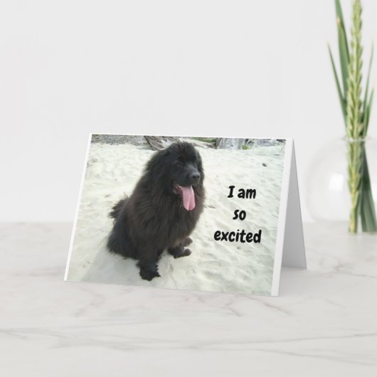 「あなた」と誕生日を分かち合うのが大好き カード (正面)