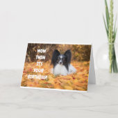 「あなた」と誕生日を分かち合うのが大好き カード (正面)