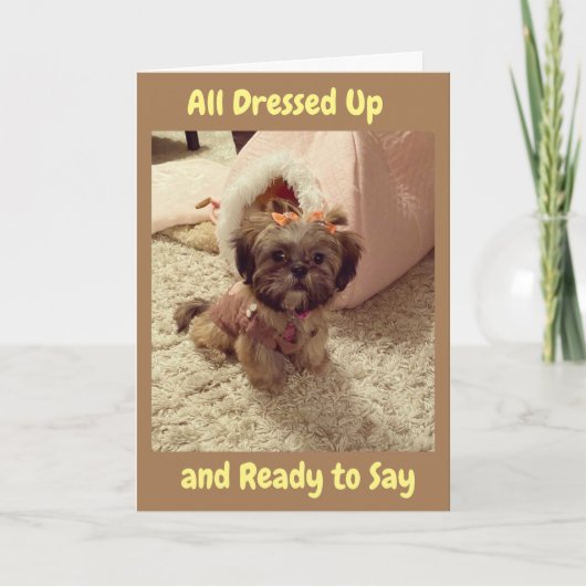 「あなた」のためにイースターの服を着ている シーズンカード (正面)