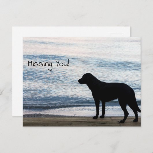 「あなた」のメッセージ恋しく思を持つ孤独な犬 ポストカード (正面/裏面)