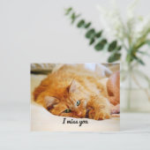 あな恋しく思た、甘いオレンジメーヌクーンキャット ポストカード (スタンド正面)