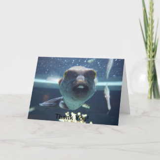 あのバックトゥースの魚のカード サンキューカード