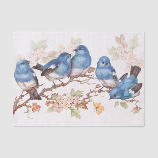 あのベビー 薄葉紙 (正面)