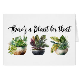 あの名刺の植物がある