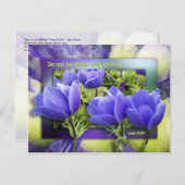 あの女はこしらえが好い ポストカード (正面/裏面)