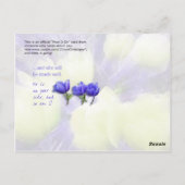 あの女はこしらえが好い ポストカード (裏面)