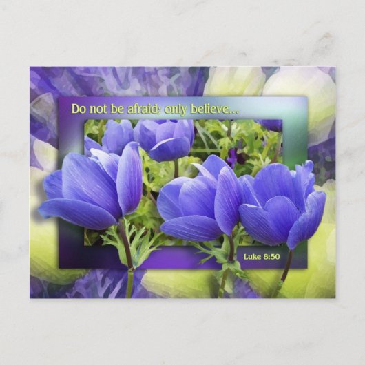 あの女はこしらえが好い ポストカード (正面)