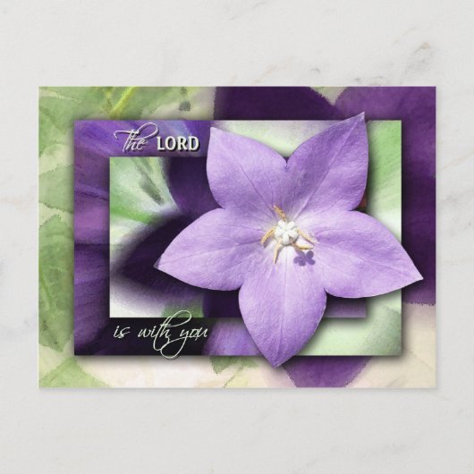 あの男は惚れて口止めをする ポストカード (正面)