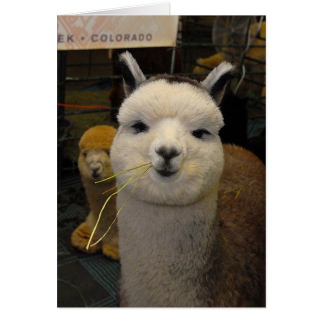 あの目が！ (正面)