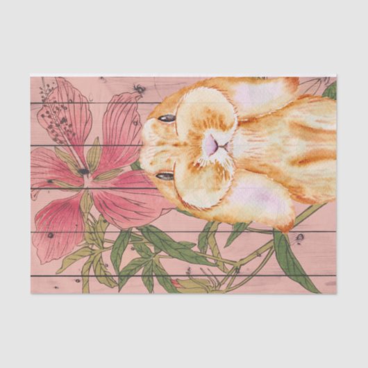 あの頬!!可愛すごいいバニー！薄葉紙 薄葉紙 (正面)