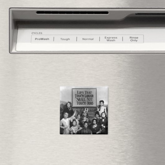 あのtouch マグネット (インサイチュ (食洗機))