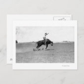 あばら牛に乗るカウボーイ ポストカード (正面/裏面)