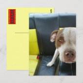 あほ ポストカード (正面/裏面)