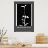 あまり無邪気な花 ポスター (キッチン)