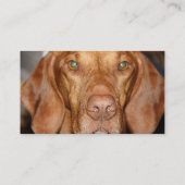 あらいぐまの猟犬の名刺 名刺 (裏面)