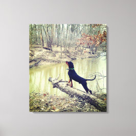 あらいぐまは川のキャンバスで犬を狩る キャンバスプリント