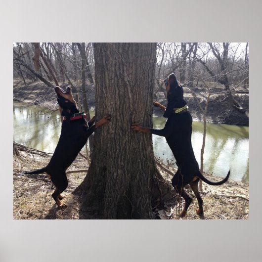 あらいぐま猟犬トレインポスター ポスター (正面)