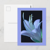 あらゆるシーンにマッチするエレガントでおしゃれなマクロホスタの花 ポストカード (正面/裏面)