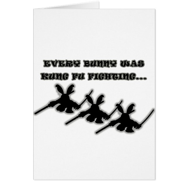 あらゆるバニーは戦うkungのfu…でした (正面)