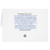 あらゆる失望の*Compensation: Waldenの池 (裏面横)