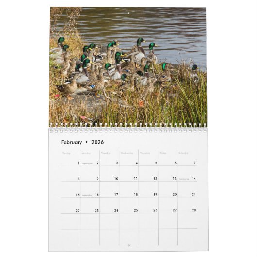 あらゆる種類の野生生物 カレンダー (2月 2026)