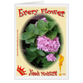 あらゆる花は湿気を必要とします!