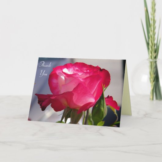 あらゆるOccasions_Cardありがとう サンキューカード (正面)