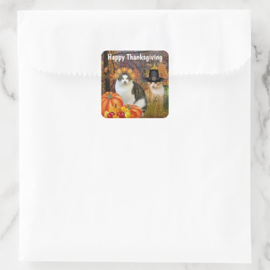 ありがたいかわいい猫カボチャ スクエアシール (バッグ)